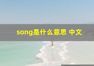 song是什么意思 中文